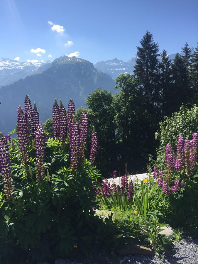 Hotel & Restaurant Stadthof Glarus Eksteriør billede