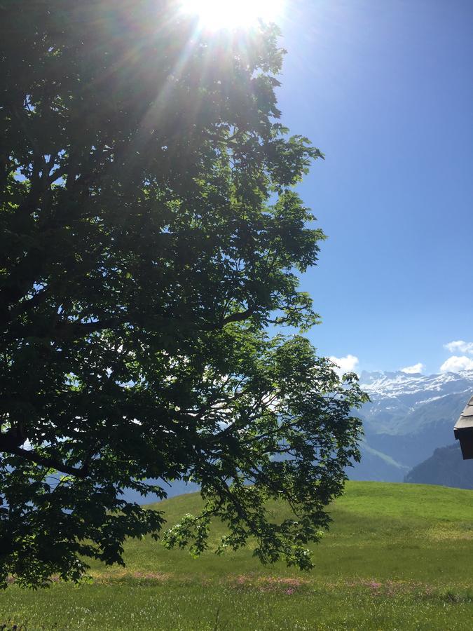 Hotel & Restaurant Stadthof Glarus Eksteriør billede